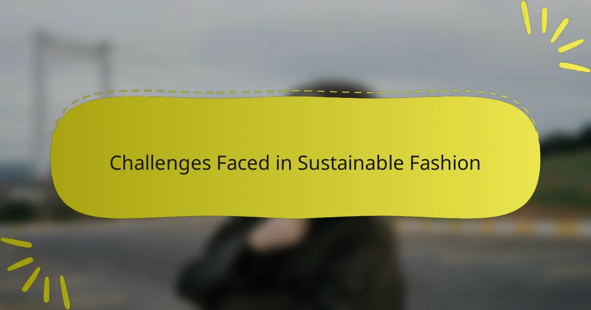 Challenges Faced in Sustainable Fashion