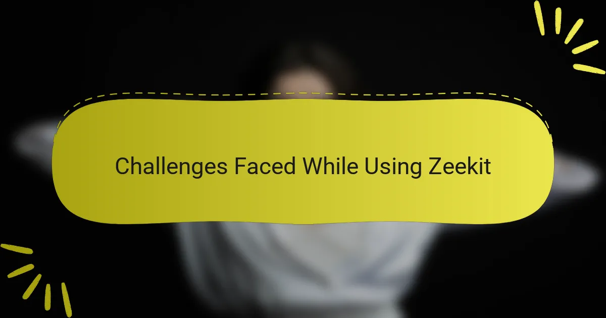 Challenges Faced While Using Zeekit