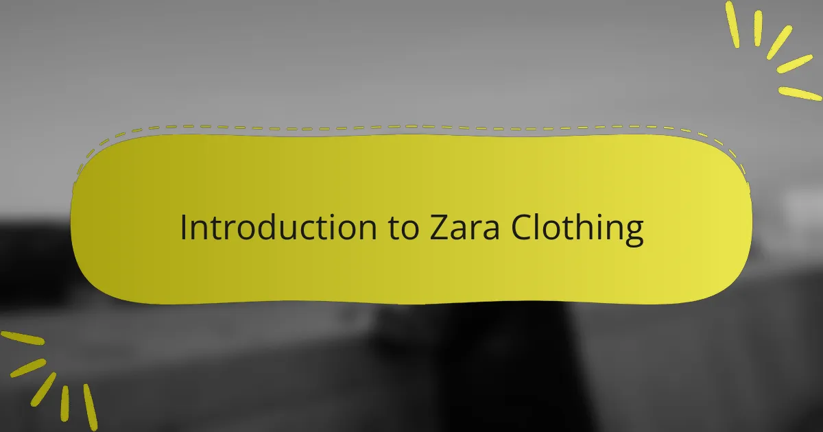 Introduction to Zara Clothing