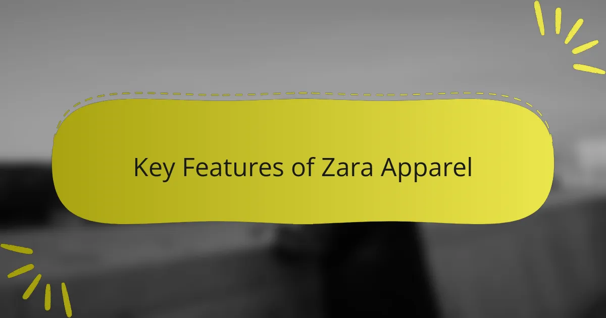 Key Features of Zara Apparel