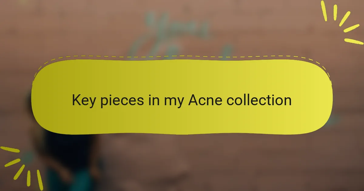 Key pieces in my Acne collection