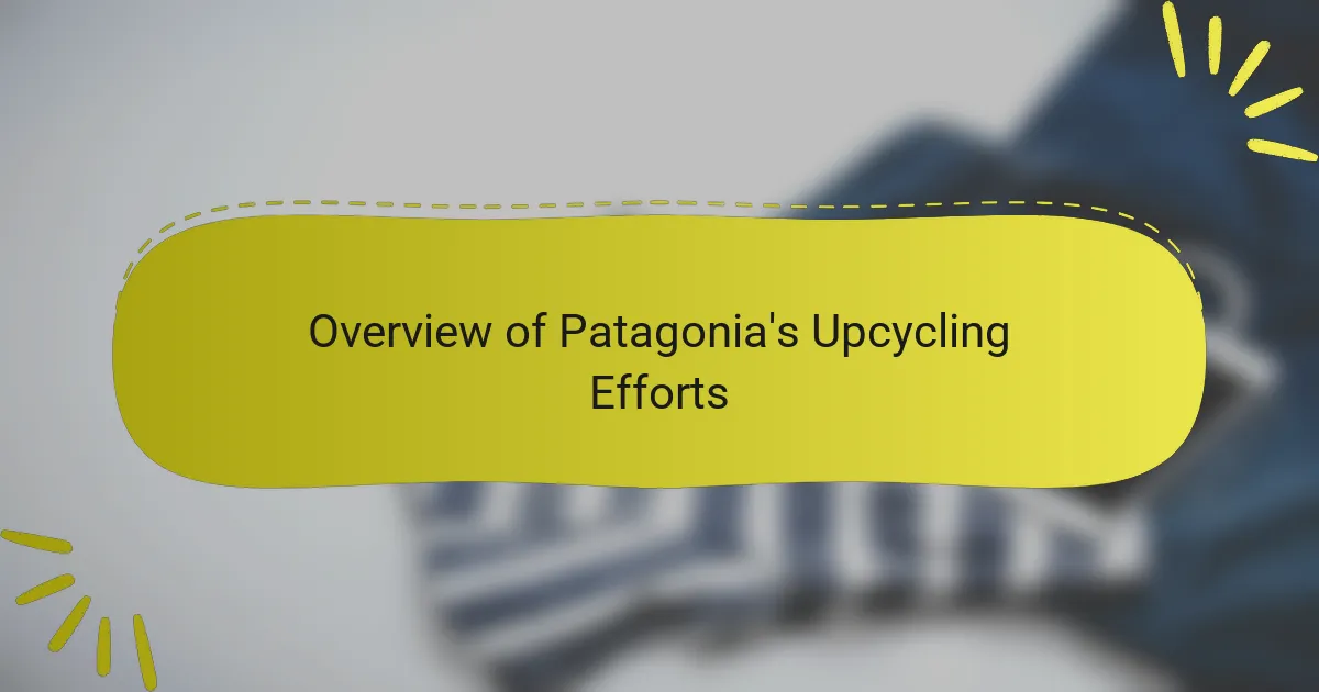 Overview of Patagonia's Upcycling Efforts