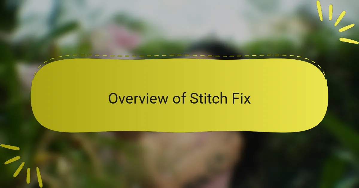 Overview of Stitch Fix