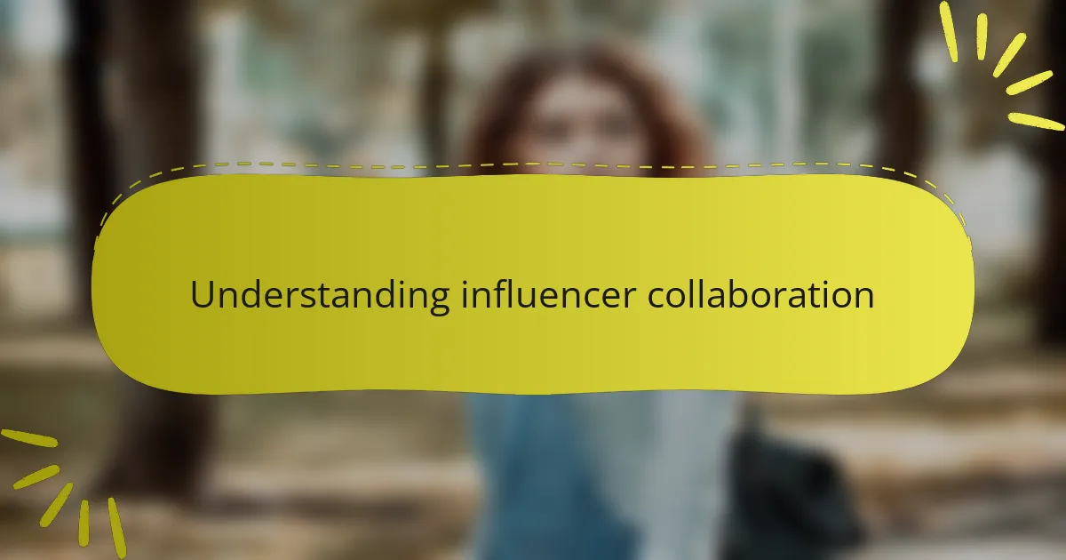 Understanding influencer collaboration